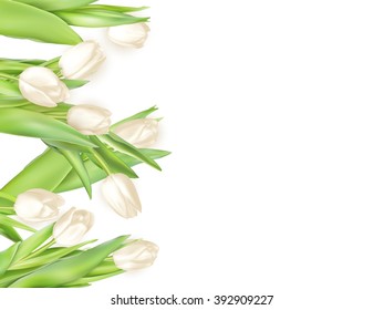Isolated tulip frame arrangement, on a white background. EPS 10 vector file included