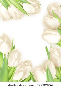 Isolated tulip frame arrangement, on a white background. EPS 10 vector file included