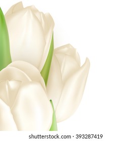 Isolated tulip frame arrangement, on a white background. EPS 10 vector file included