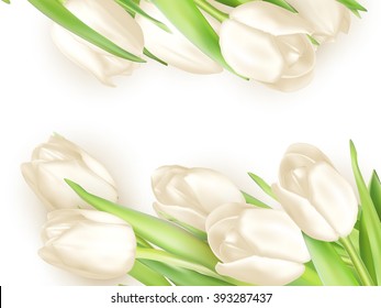 Isolated tulip frame arrangement, on a white background. EPS 10 vector file included