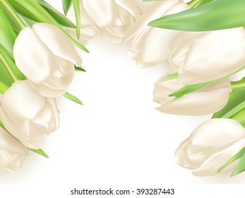 Isolated tulip frame arrangement, on a white background. EPS 10 vector file included