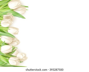Isolated tulip frame arrangement, on a white background. EPS 10 vector file included