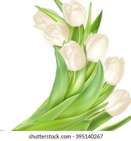 Isolated tulip frame arrangement, on a white background. EPS 10 vector file included