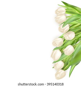 Isolated tulip frame arrangement, on a white background. EPS 10 vector file included