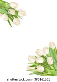 Isolated tulip frame arrangement, on a white background. EPS 10 vector file included