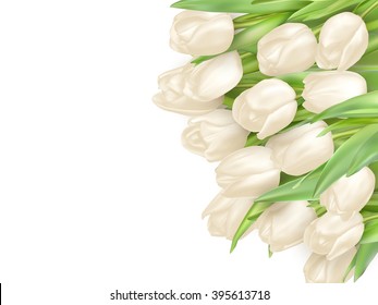 Isolated tulip frame arrangement, on a white background. EPS 10 vector file included