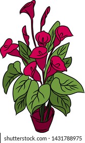 Isolated tulip icons vector on a white background