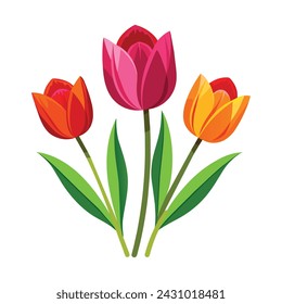 Isolated Tulips Vector Illustration on white