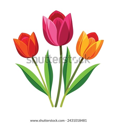 Isolated Tulips Vector Illustration on white