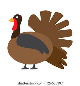 Isolated turkey icon on a white background, Vector illustration