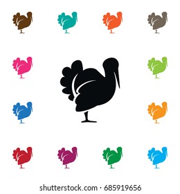 Isolated Turkey Icon. Turkeycock Vector Element Can Be Used For Turkeycock, Turkey, Bird Design Concept.