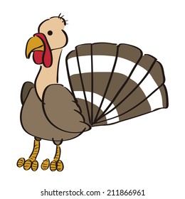 an isolated turkey on a white background