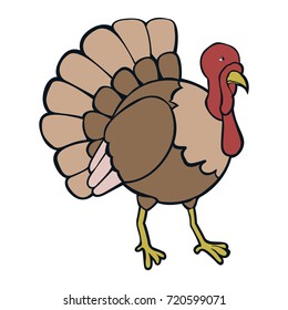 Isolated turkey on a white background, Thanksgiving day vector illustration