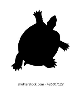 8,947 Tortoise silhouette Images, Stock Photos & Vectors | Shutterstock