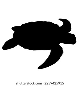 Isolated turtle silhouette vector art