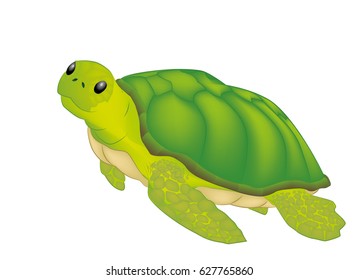 Isolated turtle vector illustration.