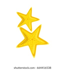isolated two starfish