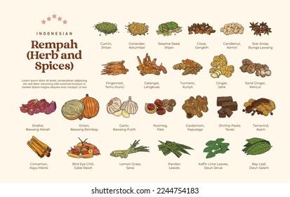 Isolated various Herb and Spices Rempah Indonesian illustration