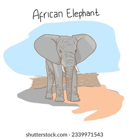 Isolated vector african elephant best for element design