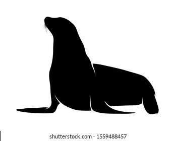 Isolated Vector animal. Seals silhouette on white background