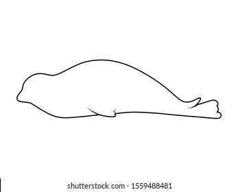 Isolated Vector animal. Seals silhouette on white background