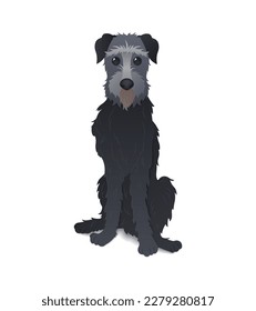 isolated vector art with cartoon irish wolfhound.