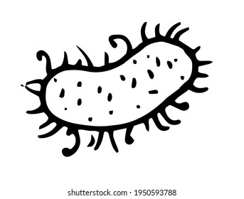 An isolated vector bacterium is drawn by hand in a doodle style with a black outline on a white background. Viral bacterium an oval shaped element with a texture of dots and strokes and short tentacle