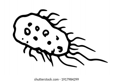 isolated vector bacterium hand-drawn in doodle style black outline on white background. bacteria element oval shape with texture and tentacles back for medical design template