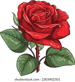 Isolated vector big bud of fresh red rose with leaves on white background. Colorful vector roses for invitations, greeting cards, posters etc.