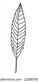 Isolated vector black line illustration of a leaf. Autumn, nature, trees, good for colorbooks.