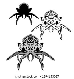 Isolated vector black and white design illustration of decorative ornamental lined spider. Perfect for decorations, stickers, badges, logos, invitations, cards