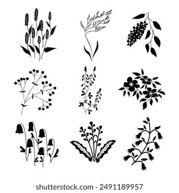 Isolated vector black and white plants set