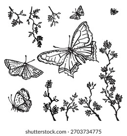 Mariposas de Vector aisladas con ramas de rosa mosqueta.