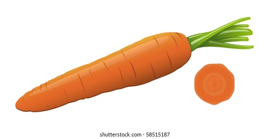 An isolated vector carrot and a slice