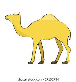 Isolated vector cartoon illustration of a camel