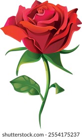 Isolated vector cartoon red rose