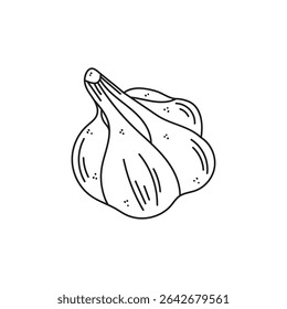 Isolierte Vektorfarbgrafik von Knoblauch auf weißem Hintergrund. Biologische gesunde Lebensmittel. Handgezeichnete Illustration im Doodle-Stil. Perfekt für Rezepte. Vektorkunst. Gemüse. Malbuch