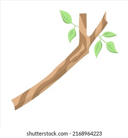 Isolated vector colored branch of a tree with no contour on a white background for postcards, web design, stickers, posters.