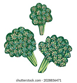Isolated vector colorful set design illustration of cartoon broccoli in green tones. The design is perfect for decorations, logos, stickers, badges