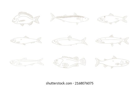 Isolated Vector Coloring Illustration of a Fishes Set