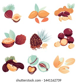 isolated  vector coloured set of nuts on white background