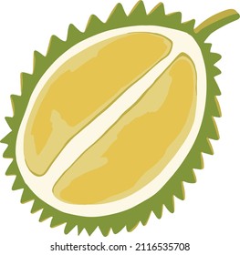 Isolated vector colourful half of durian fruit in cartoon style. Exotic fruits concept.