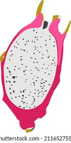 Isolated vector colourful pitaya. Half of dragon fruit in cartoon style. Exotic fruits concept. Vegetarian, organic food.