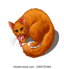 Isolated vector of cute fluffy unpleased red cat with stolen sausage in its mouth, painted in a realistic style.