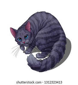 Isolated vector of cute fluffy unpleased grey stripped cat, painted in a realistic style.