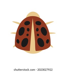 Isolated vector design colorful illustration of decorative abstract lady bug. The design is perfect for stickers, coloring, badges, logos, icons, advertisements, tattoos.