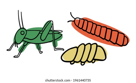 Isolated vector design set of colorful lined grasshopper and cockroaches. The design is perfect for stickers, badges, logos, advertisements, packaging, cards