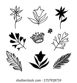 Diseño vectorial aislado de flores silvestres decorativas. Siluetas negras y alineadas. El diseño es perfecto para el diseño de la ropa, la decoración infantil, las pegatinas, la papelería y los tatuajes. 