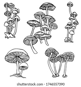 Isolated vector design set of lined mushrooms on white background. The design is perfectly suitable for clothes design, children decoration, stickers, stationary, tattoos. 