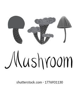 Isolated vector design set of lined mushrooms on white background. The design is perfectly suitable for clothes design, children decoration, stickers, stationary, tattoos. 